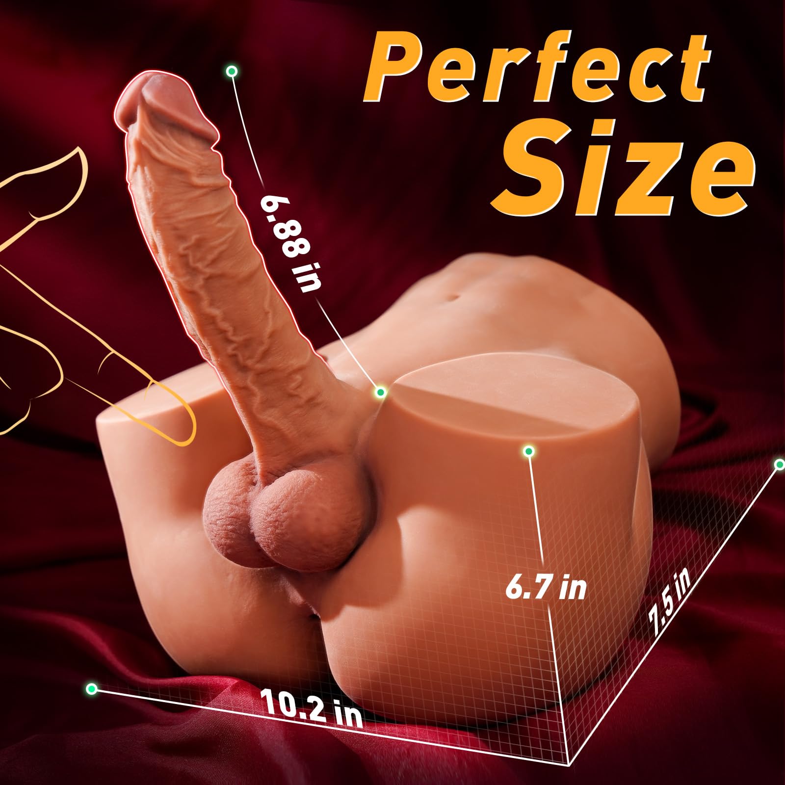 Male Sex Doll Ass with a 7" Penis - 11 LB Spartan Lover Male Sex Doll Ass with a 7" Penis - 11 LB Spartan Lover